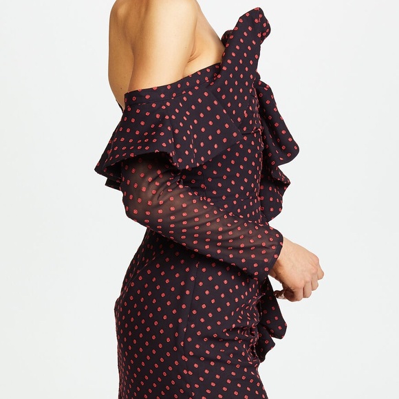 Self-Portrait Ruffled-Trimmed Embroidered Dress with floral embroidery - Picture 4 of 6